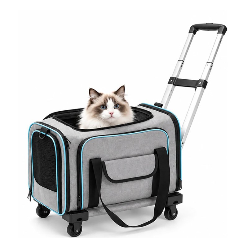 Rolling pet carrier with a cat sitting inside