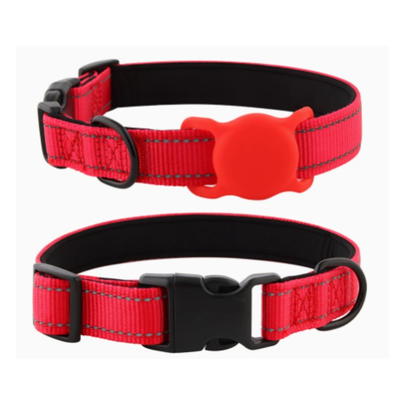 Red webbing collar with a quick-release buckle