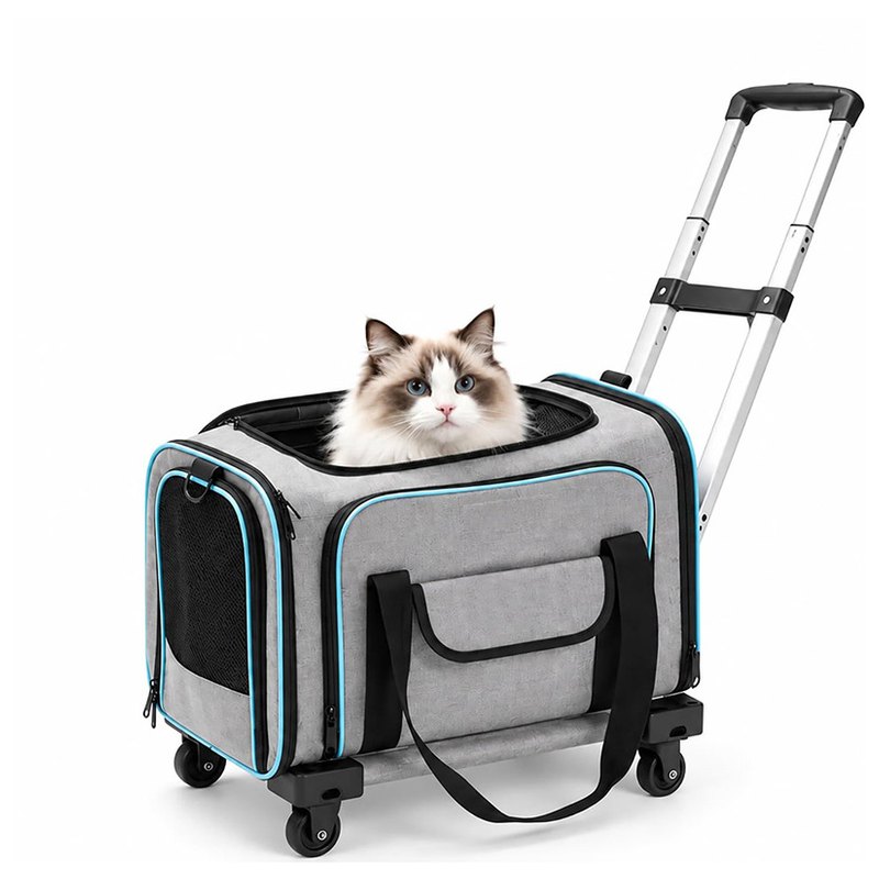 Rolling pet carrier with a cat sitting inside on four wheels