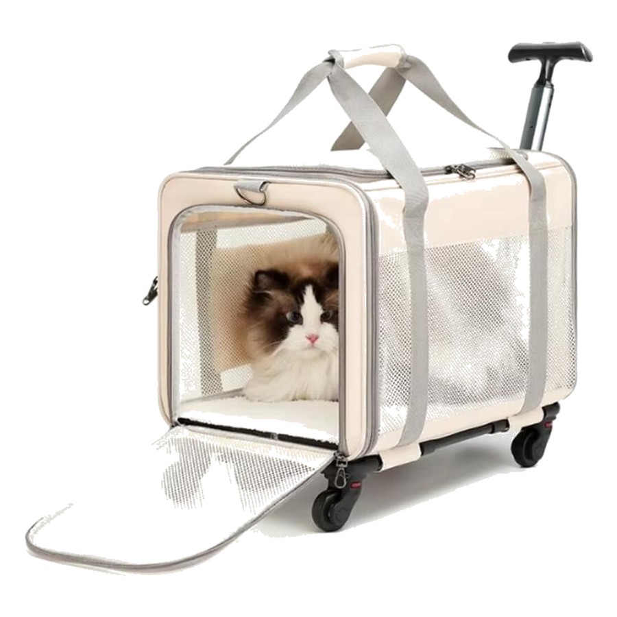 Double pet stroller