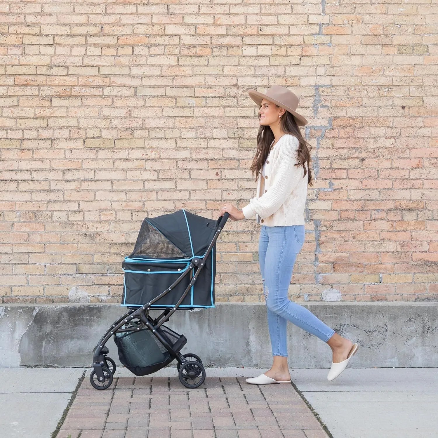 Pet Stroller with Rear Wheel Brakes & Reflective Trim - view 2