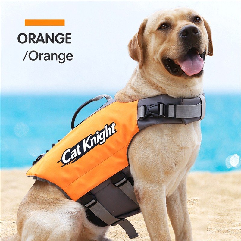 Adjustable dog hock and chest support, orange, with quick-release buckle