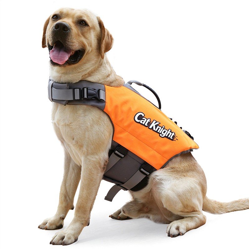 Dog life jacket, green, worn by a Labrador Retriever