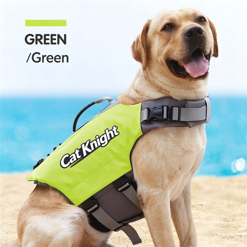 Dog life jacket, orange, worn by a Labrador Retriever
